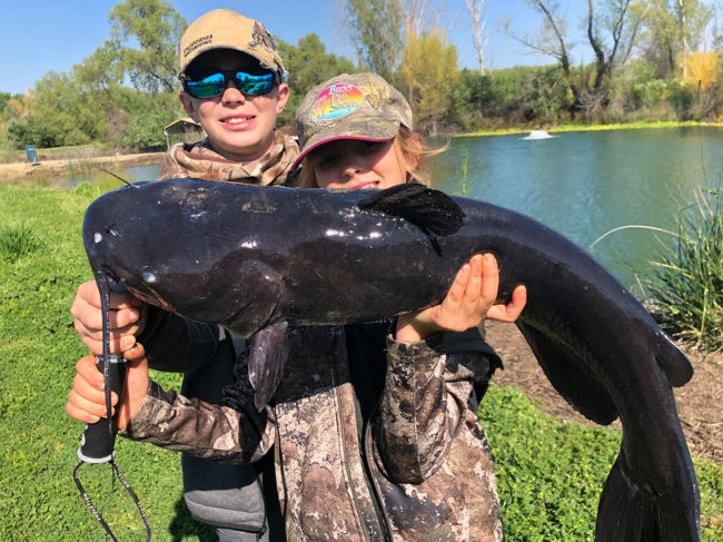 Giant Channel Catfish Closed Zone Farms
